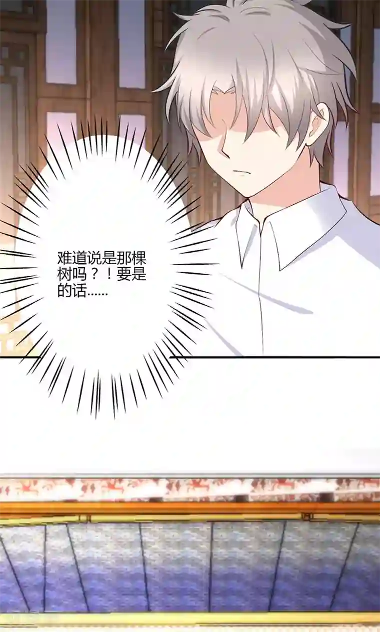 圣医重生计划第74话