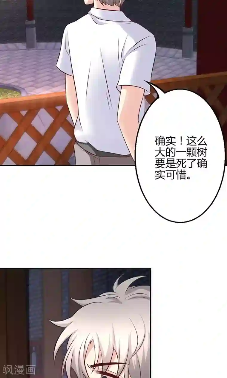 圣医重生计划第75话