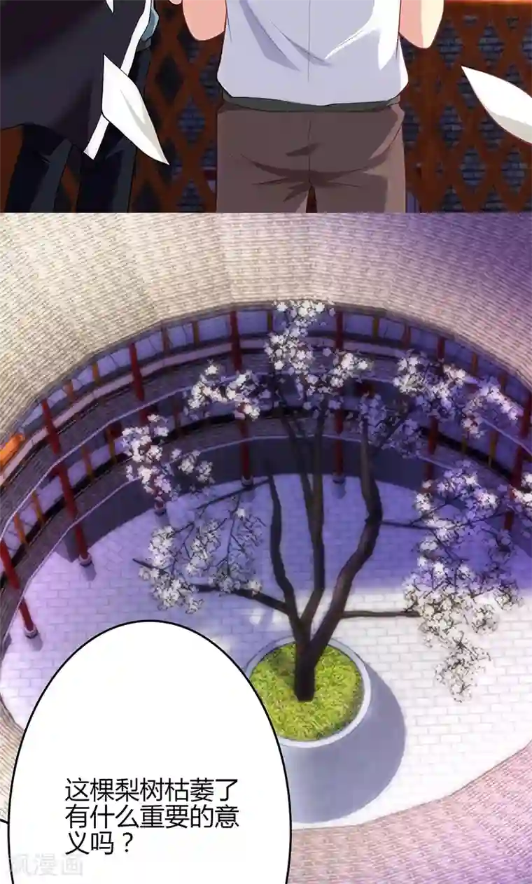 圣医重生计划第76话