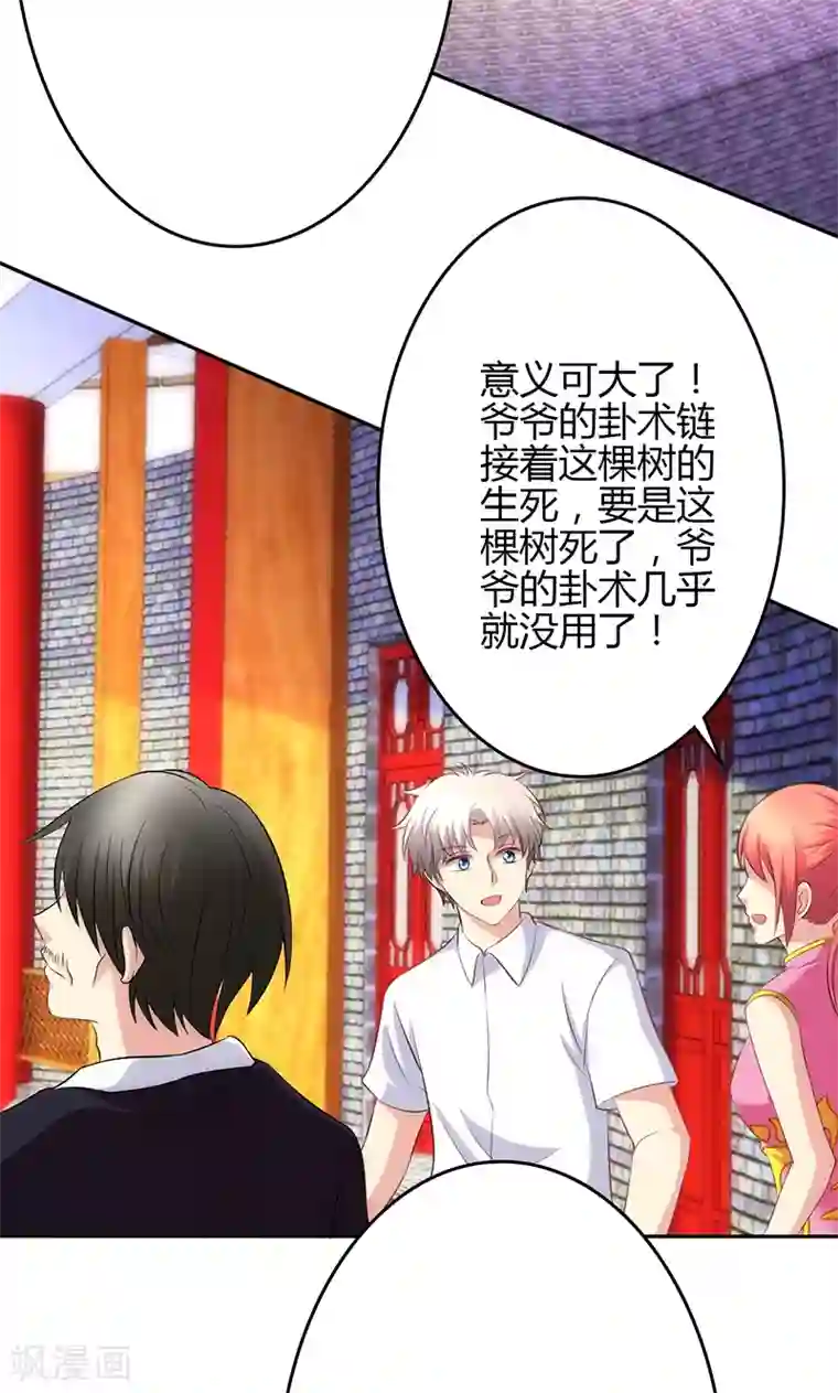 圣医重生计划第76话