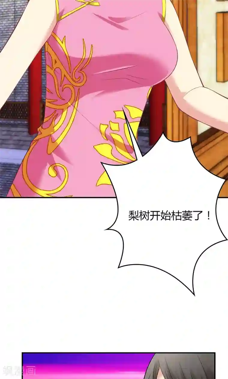 圣医重生计划第76话