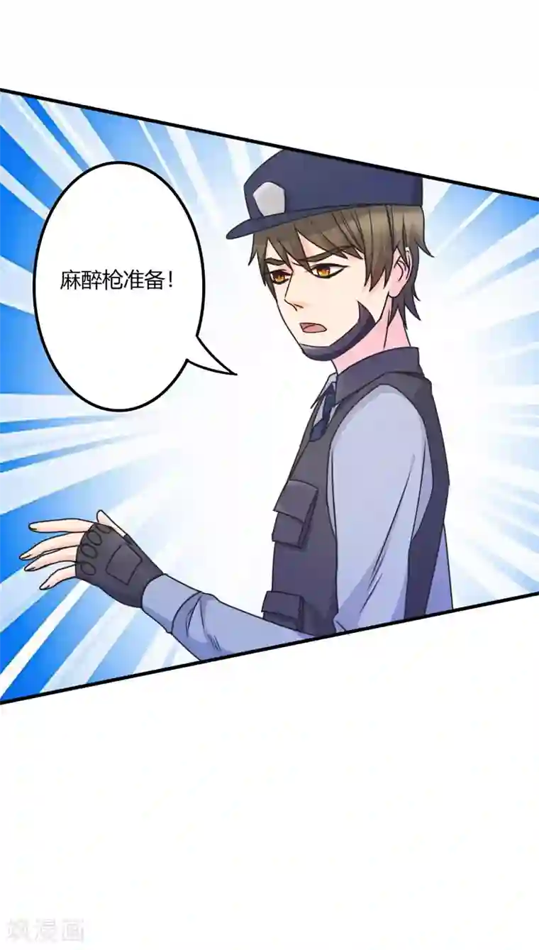 圣医重生计划第108话