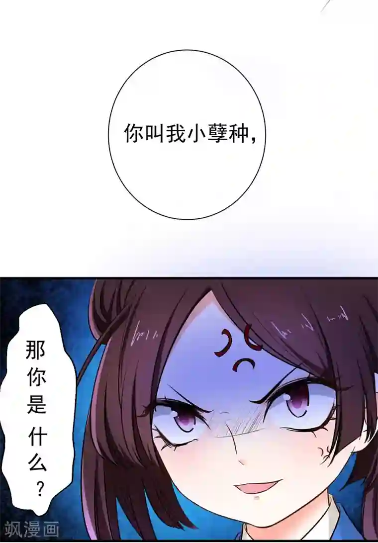 暴力俏丫头第3话 你是老孽种？