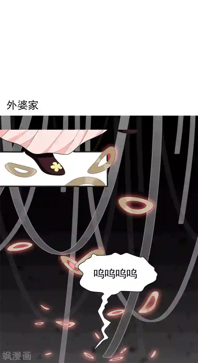 暴力俏丫头第63话 家破人亡的柳家