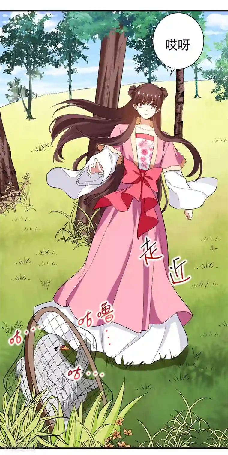 暴力俏丫头第72话 将计就计！