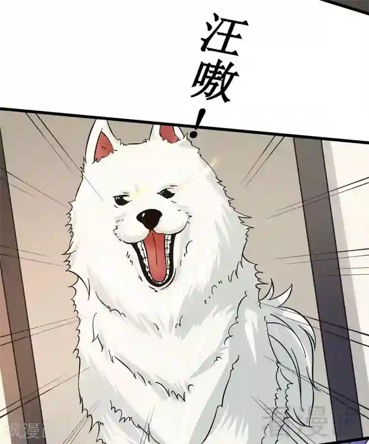 恶魔校草第20话 你是偷窥狂？