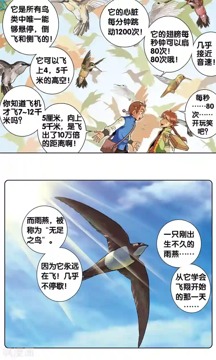 星海镖师第35话 蜂鸟和雨燕