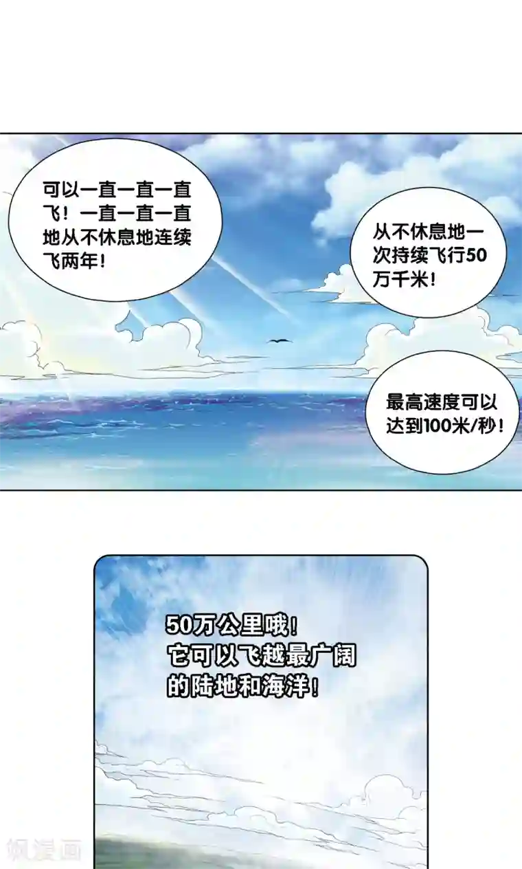 星海镖师第35话 蜂鸟和雨燕