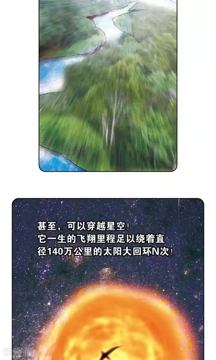 星海镖师第35话 蜂鸟和雨燕