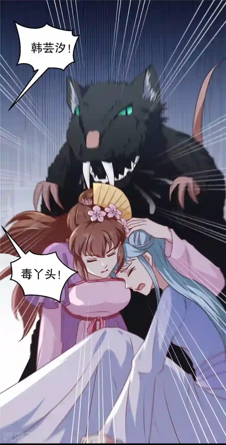 天才小毒妃之芸汐传奇第187话 鼠群围攻