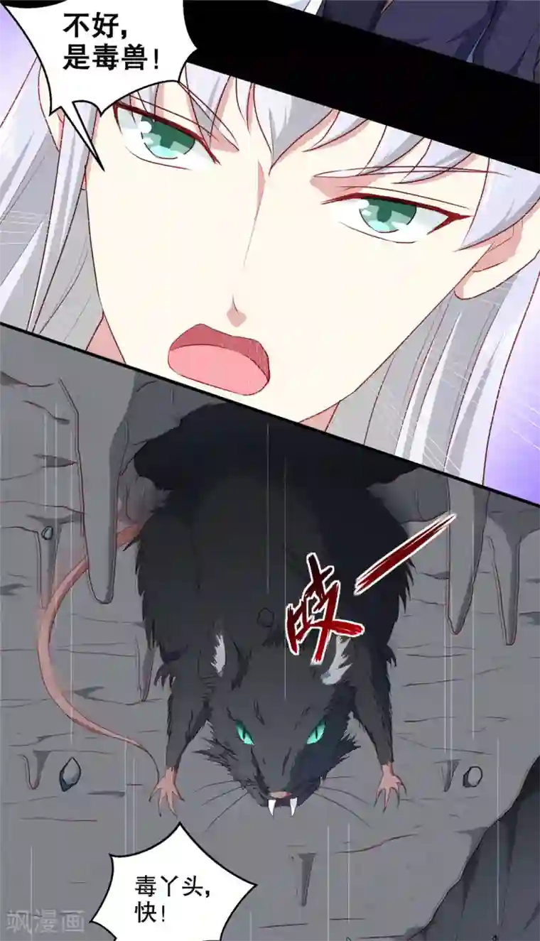 天才小毒妃之芸汐传奇第187话 鼠群围攻