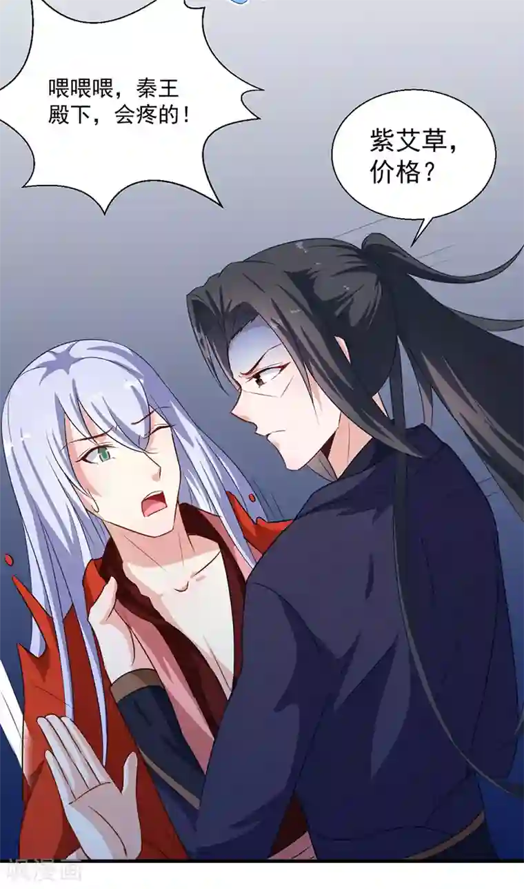 天才小毒妃之芸汐传奇第125话 紫艾草