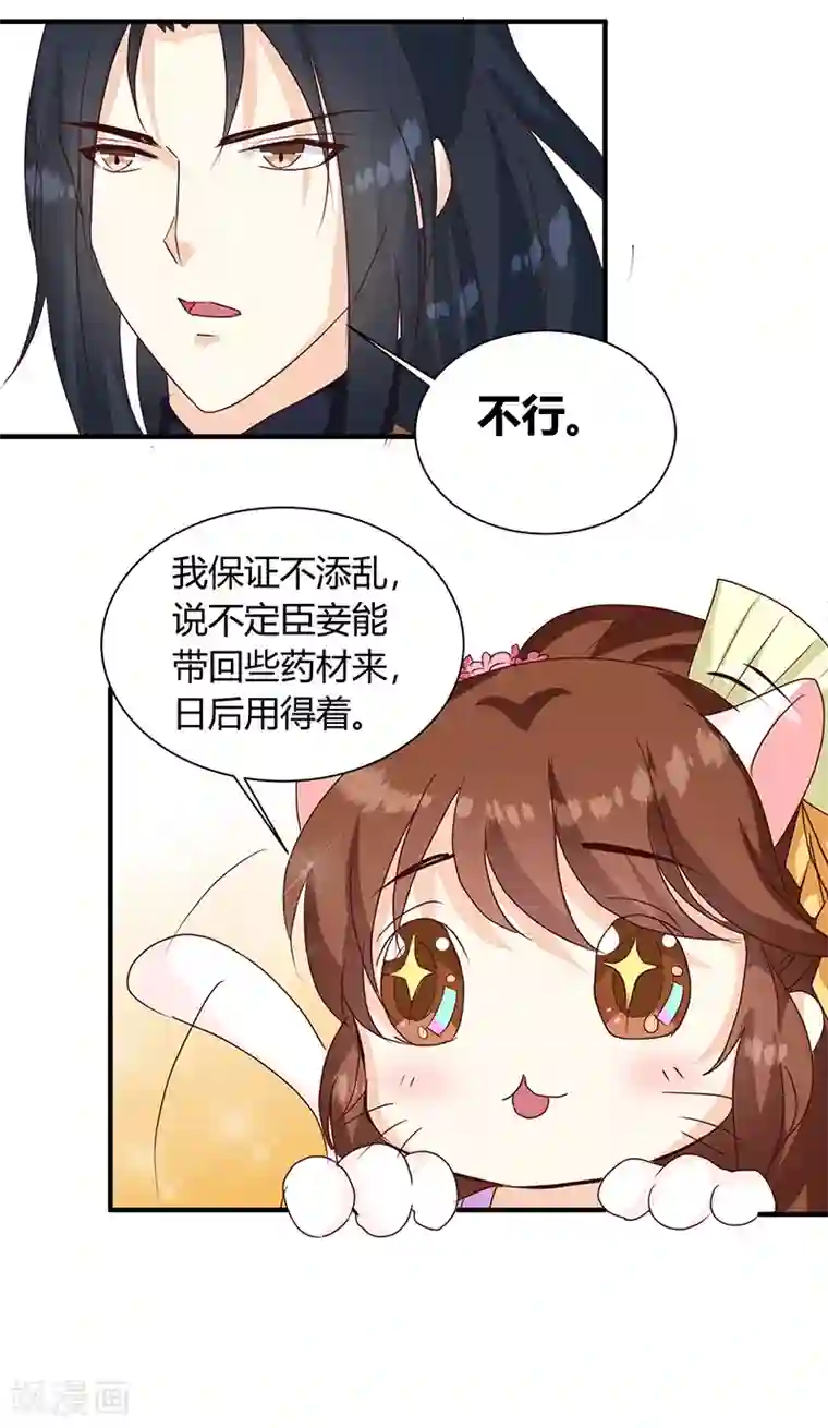 天才小毒妃之芸汐传奇第126话 带你去药城