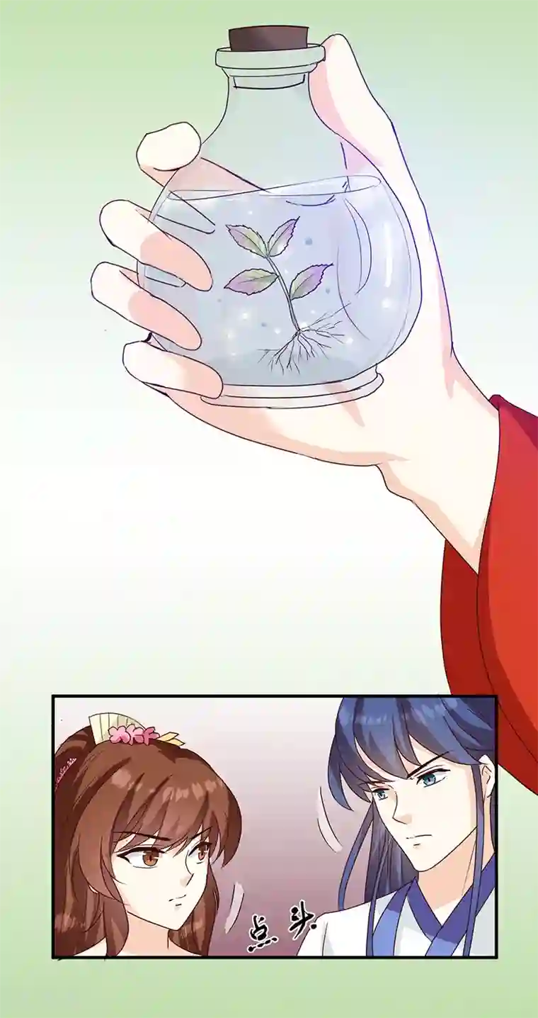 天才小毒妃之芸汐传奇第126话 带你去药城