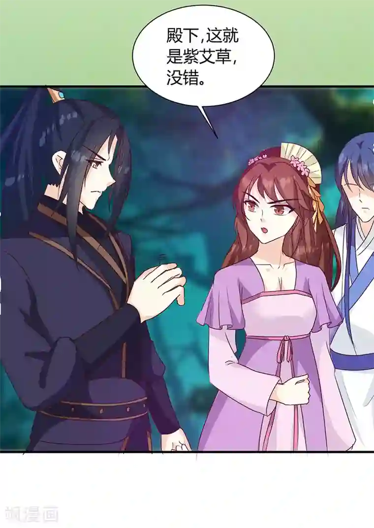 天才小毒妃之芸汐传奇第126话 带你去药城