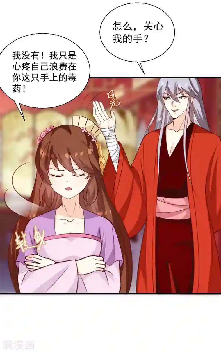 天才小毒妃之芸汐传奇第143话 有刺客