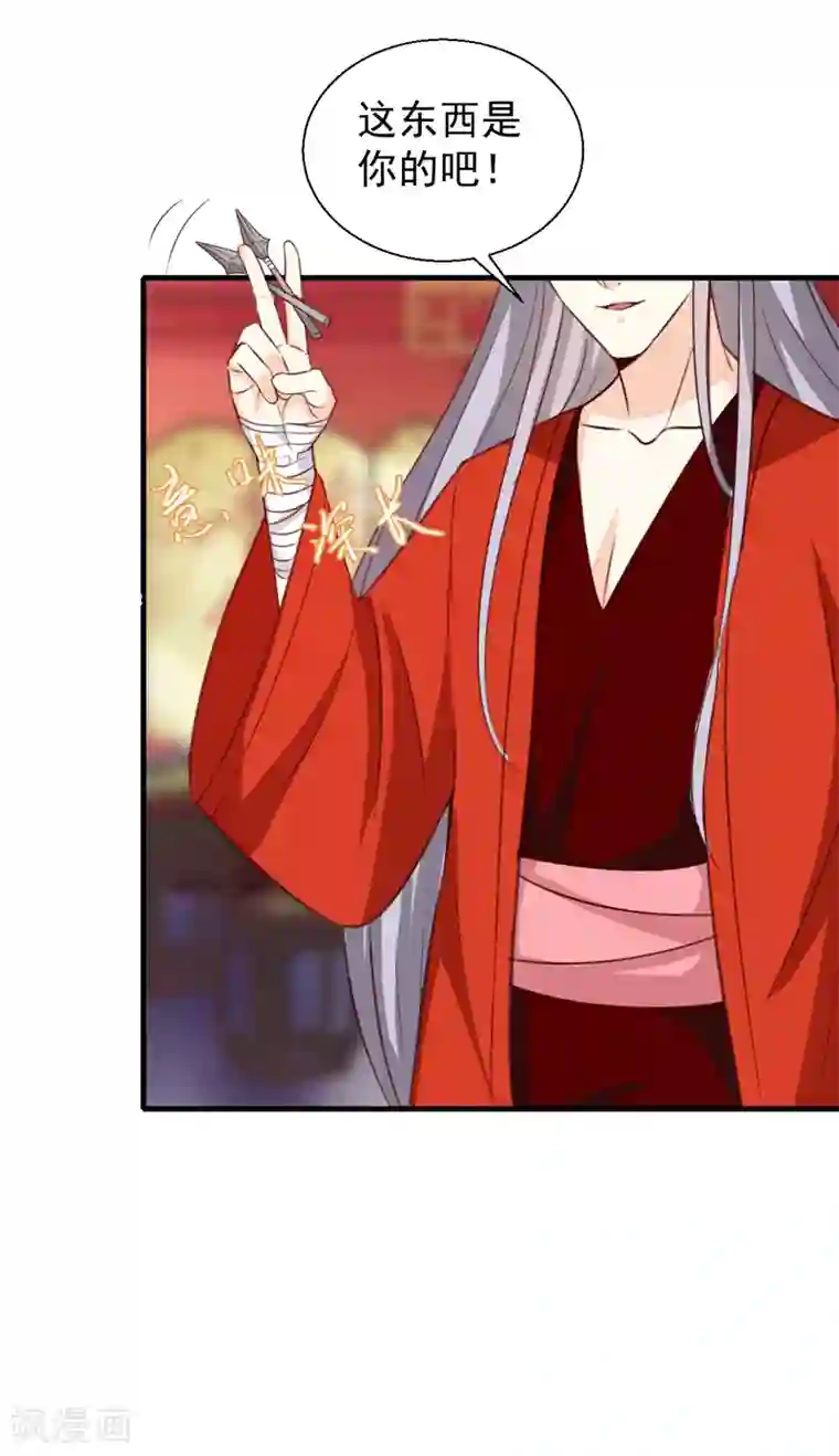 天才小毒妃之芸汐传奇第143话 有刺客