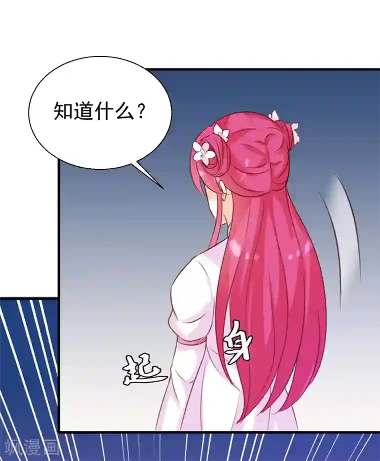 天才小毒妃之芸汐传奇第149话 遇袭