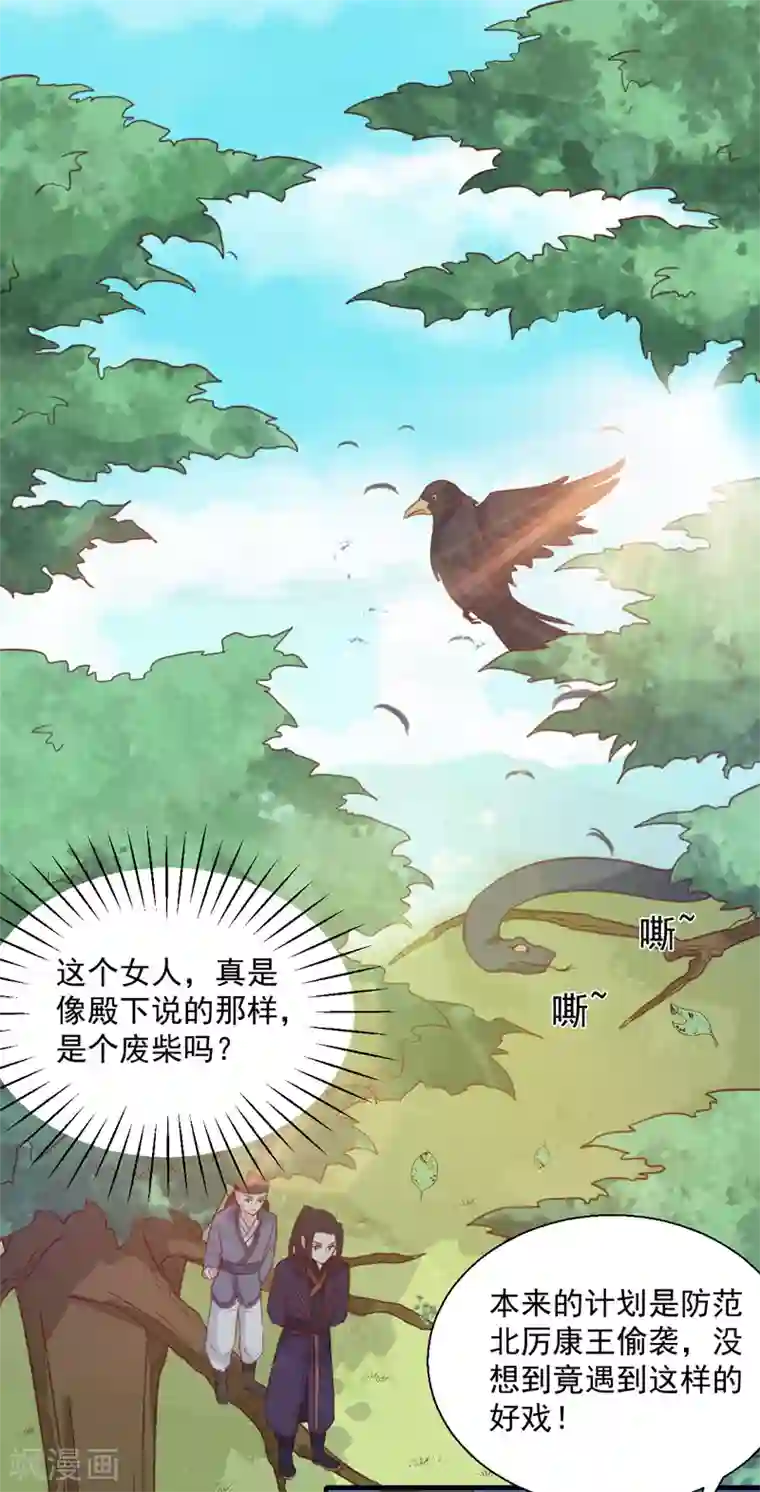 天才小毒妃之芸汐传奇第149话 遇袭