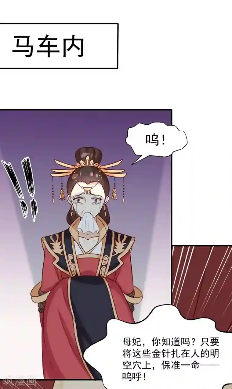 天才小毒妃之芸汐传奇第149话 遇袭