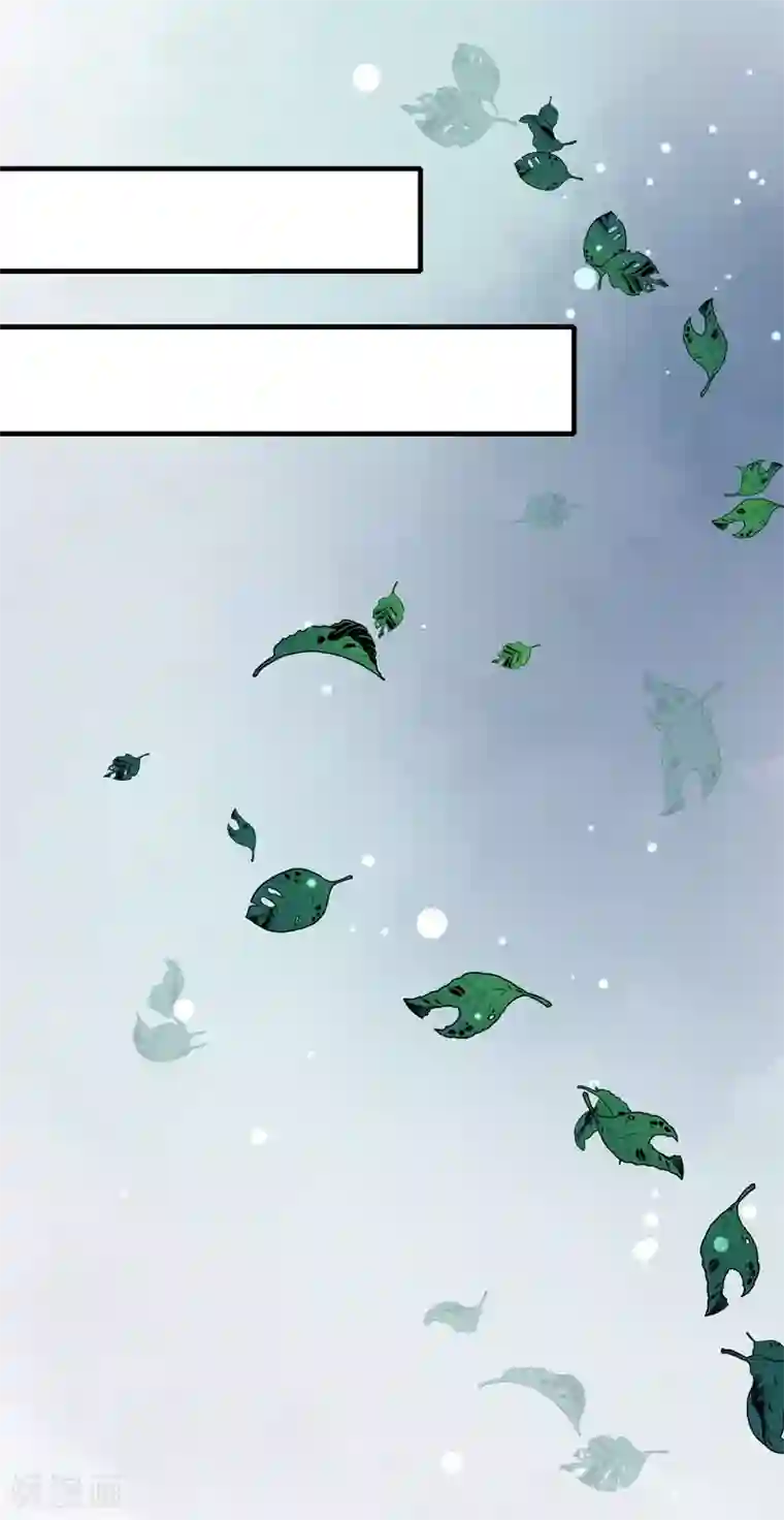 天才小毒妃之芸汐传奇第159话 血蝠