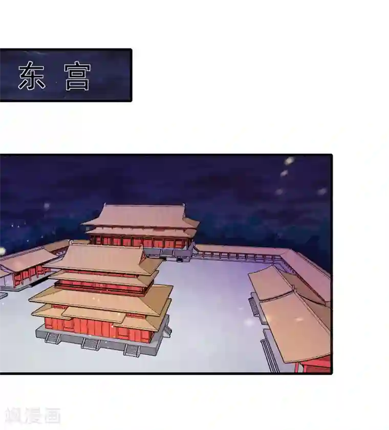 天才小毒妃之芸汐传奇第161话 合谋