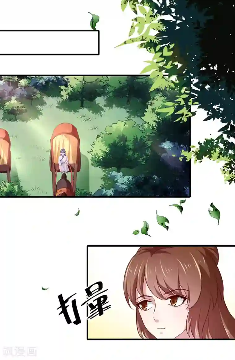 天才小毒妃之芸汐传奇第165话 太子被劫