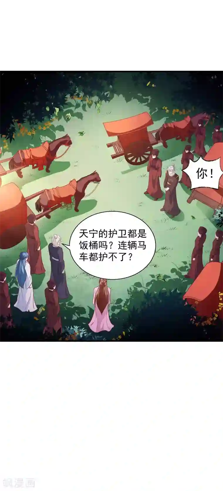 天才小毒妃之芸汐传奇第165话 太子被劫