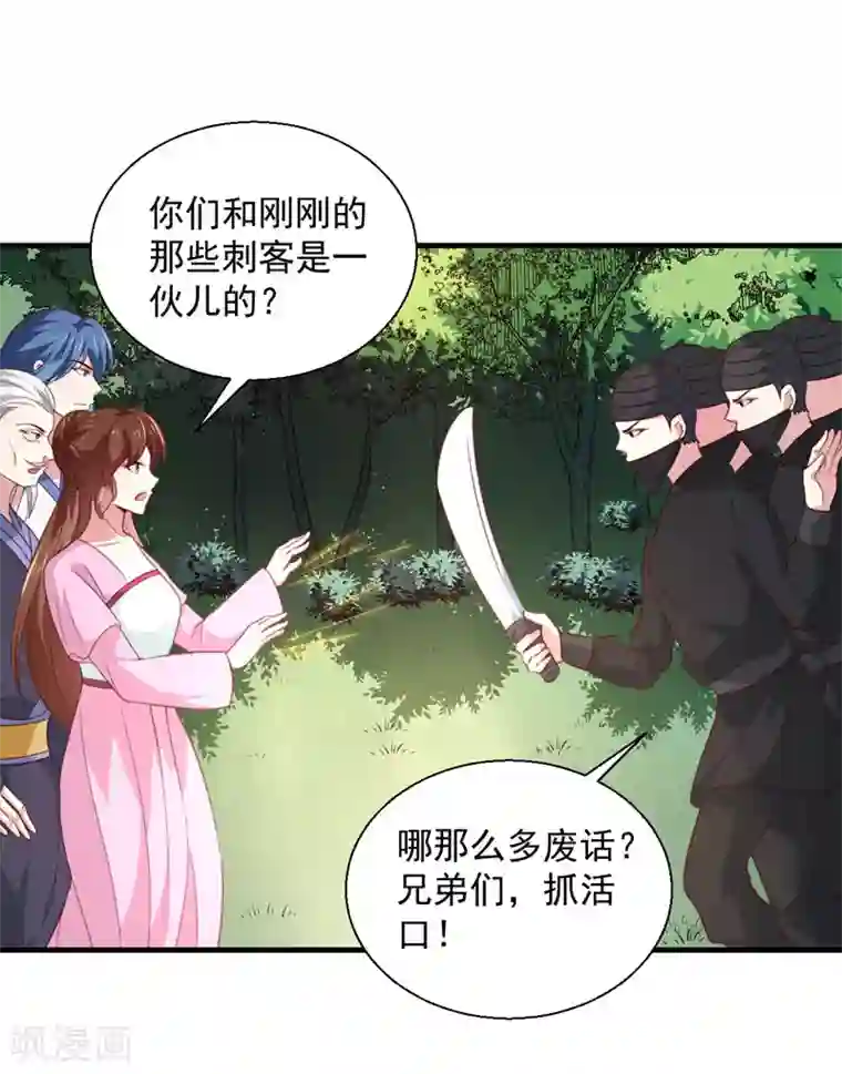 天才小毒妃之芸汐传奇第165话 太子被劫