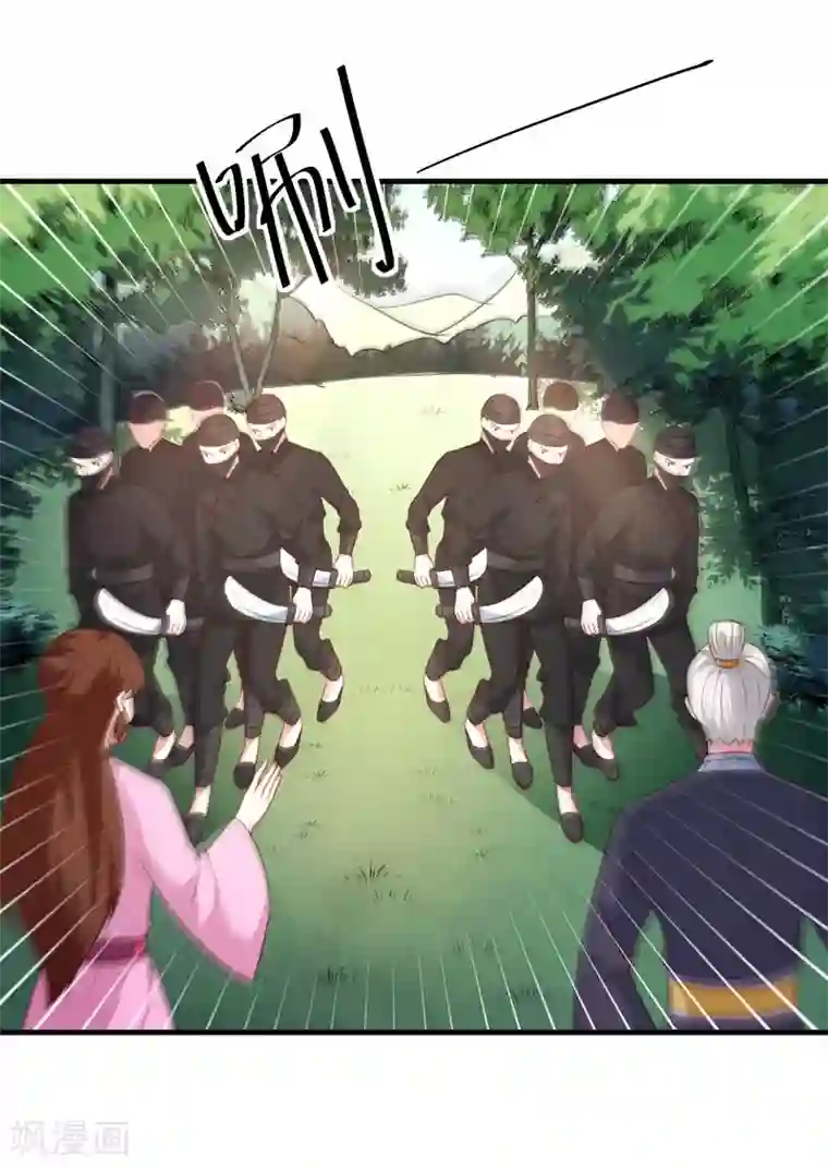 天才小毒妃之芸汐传奇第165话 太子被劫