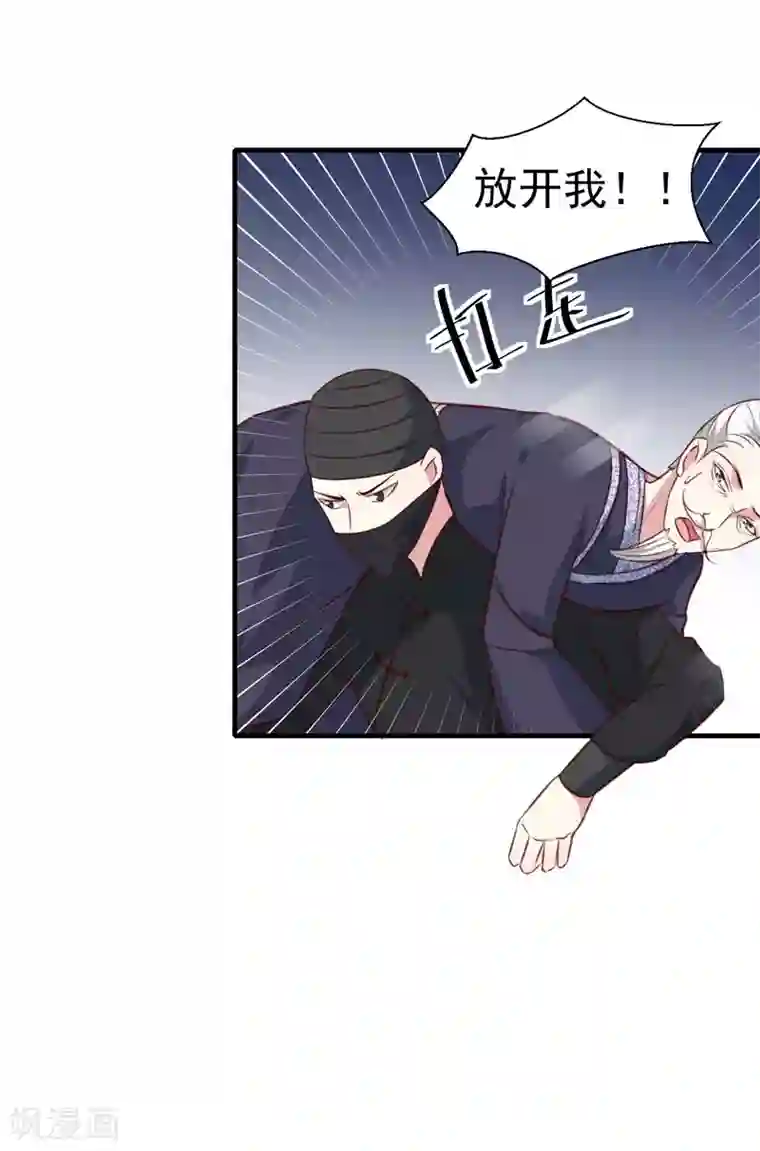 天才小毒妃之芸汐传奇第165话 太子被劫