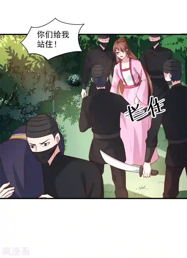 天才小毒妃之芸汐传奇第165话 太子被劫