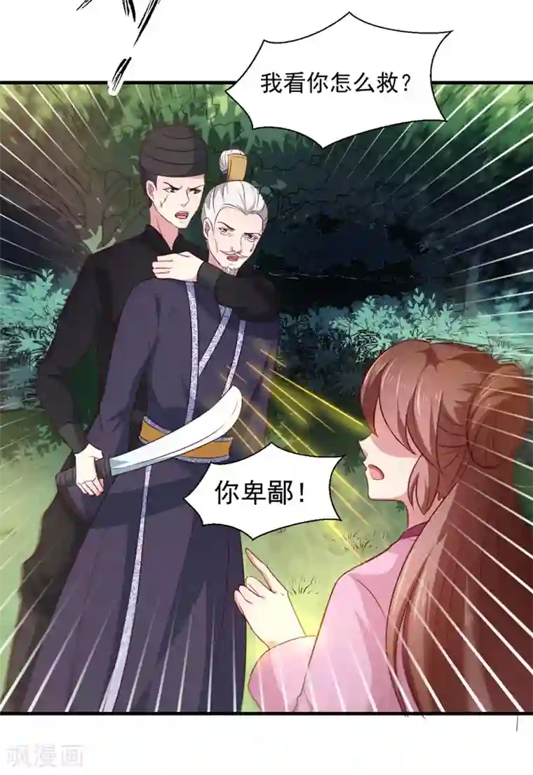 天才小毒妃之芸汐传奇第165话 太子被劫