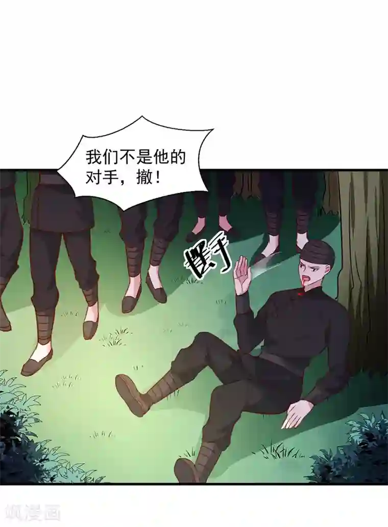 天才小毒妃之芸汐传奇第165话 太子被劫