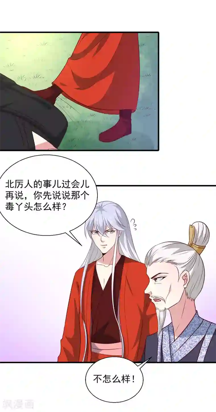 天才小毒妃之芸汐传奇第165话 太子被劫