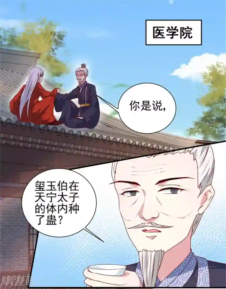 天才小毒妃之芸汐传奇第170话 医城、药城