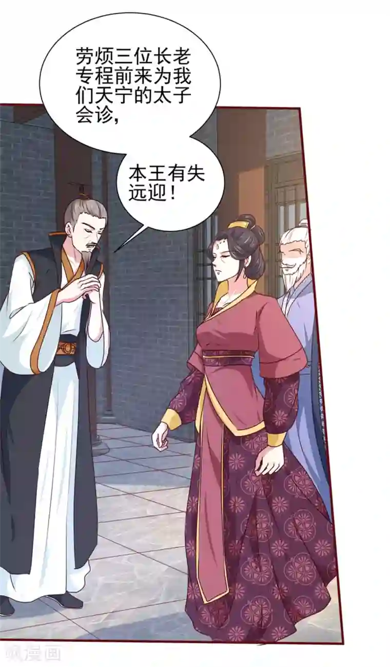 天才小毒妃之芸汐传奇第170话 医城、药城