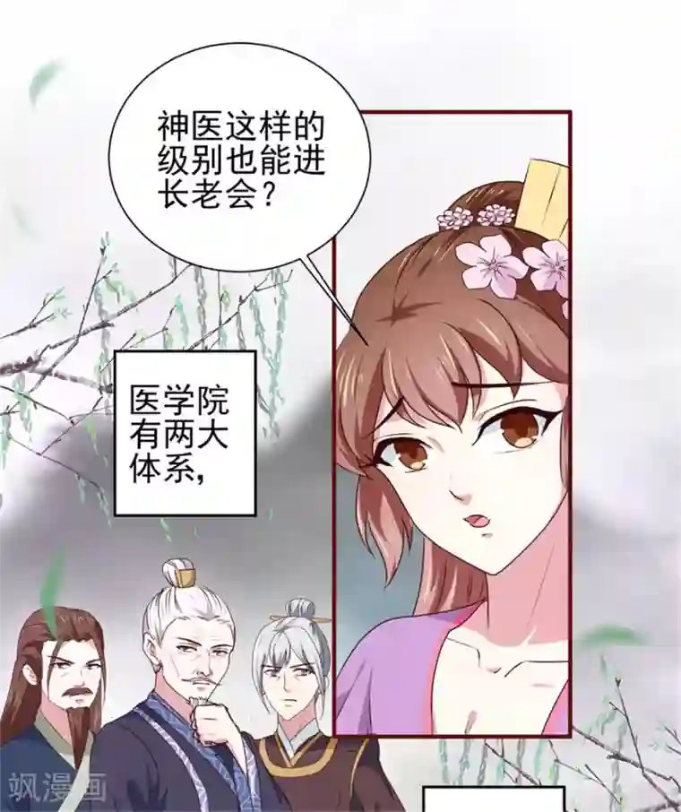 天才小毒妃之芸汐传奇第170话 医城、药城