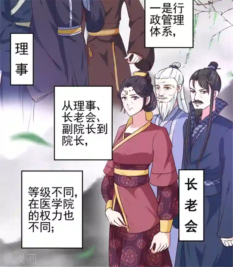 天才小毒妃之芸汐传奇第170话 医城、药城