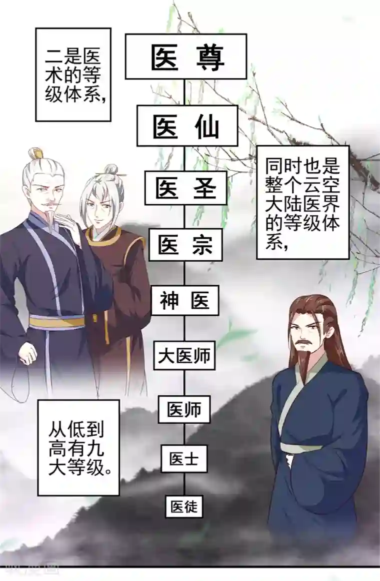 天才小毒妃之芸汐传奇第170话 医城、药城