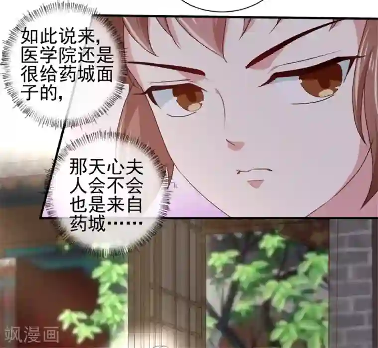 天才小毒妃之芸汐传奇第170话 医城、药城