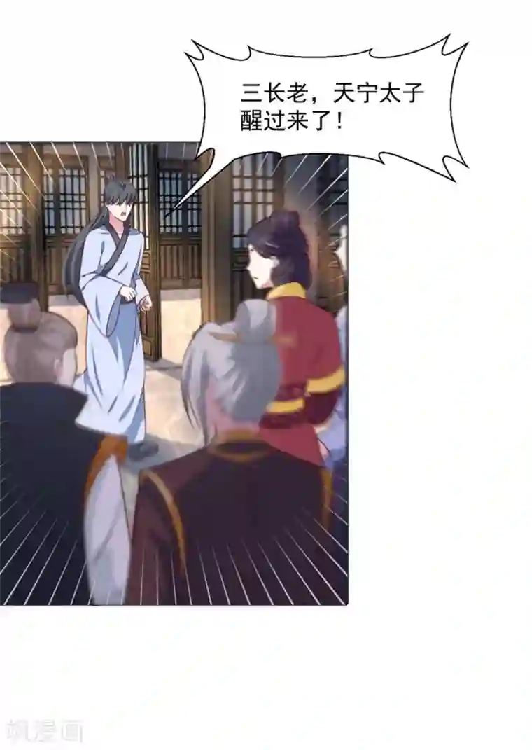 天才小毒妃之芸汐传奇第171话 太子是假的