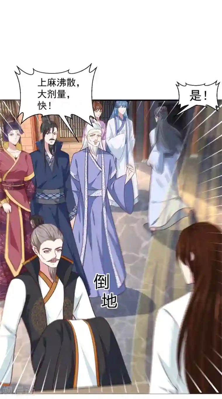 天才小毒妃之芸汐传奇第171话 太子是假的