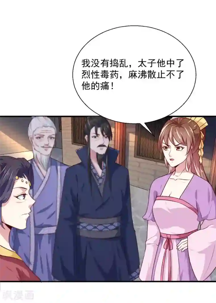 天才小毒妃之芸汐传奇第171话 太子是假的