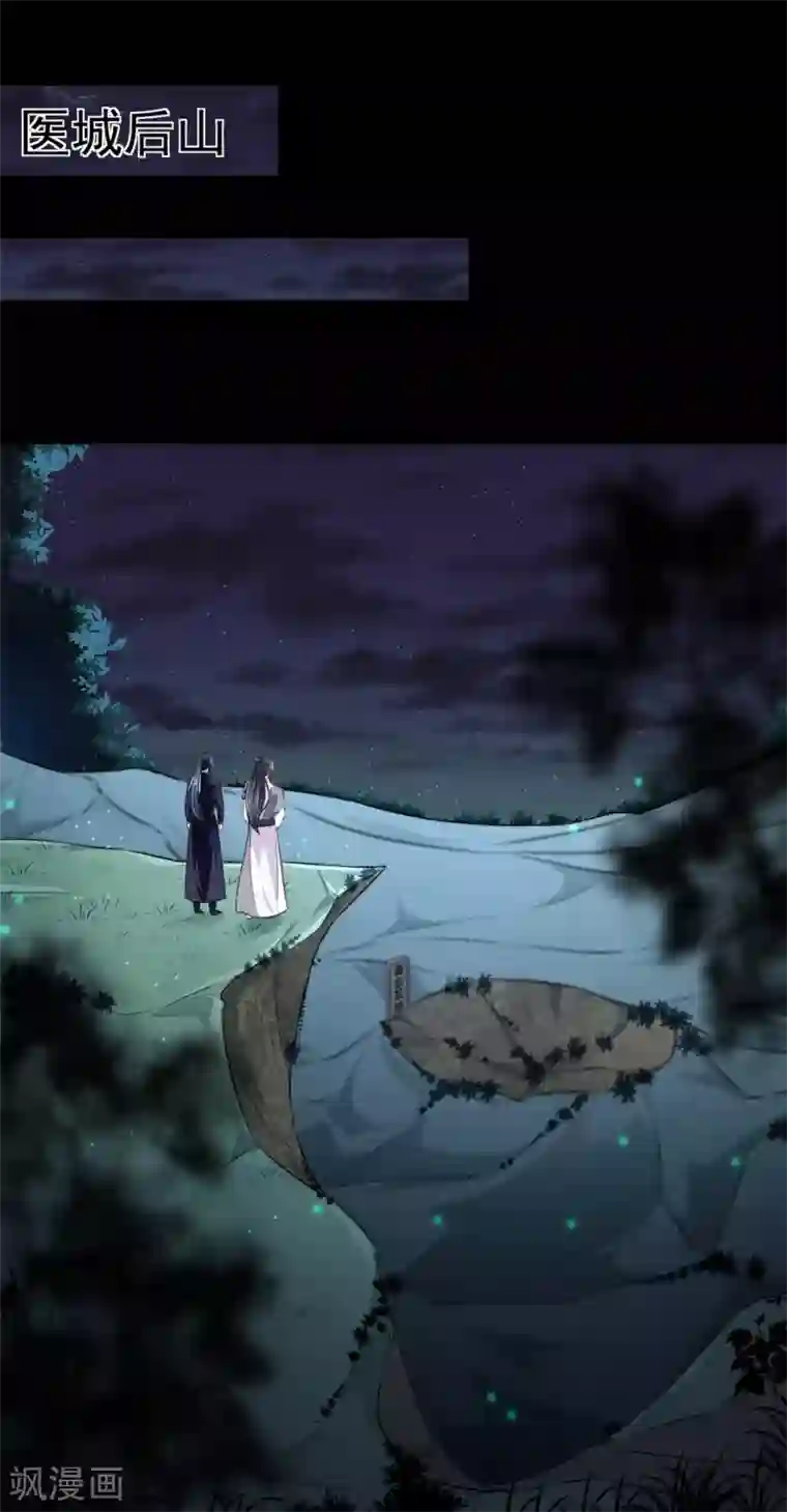 天才小毒妃之芸汐传奇第179话 天坑