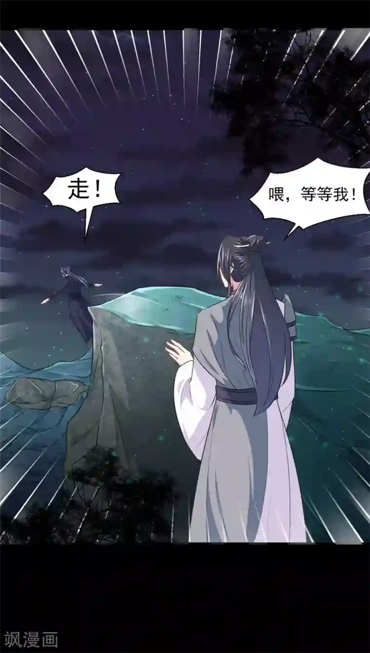 天才小毒妃之芸汐传奇第179话 天坑