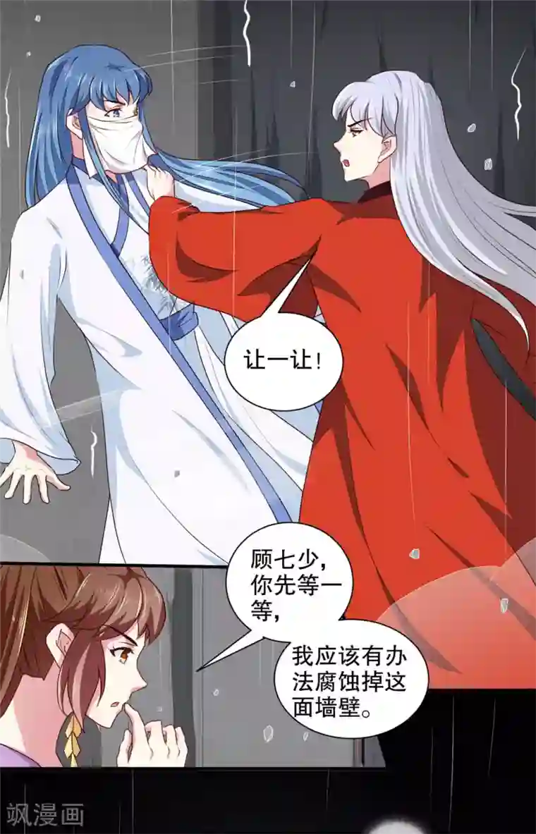 天才小毒妃之芸汐传奇第186话 我相信她！