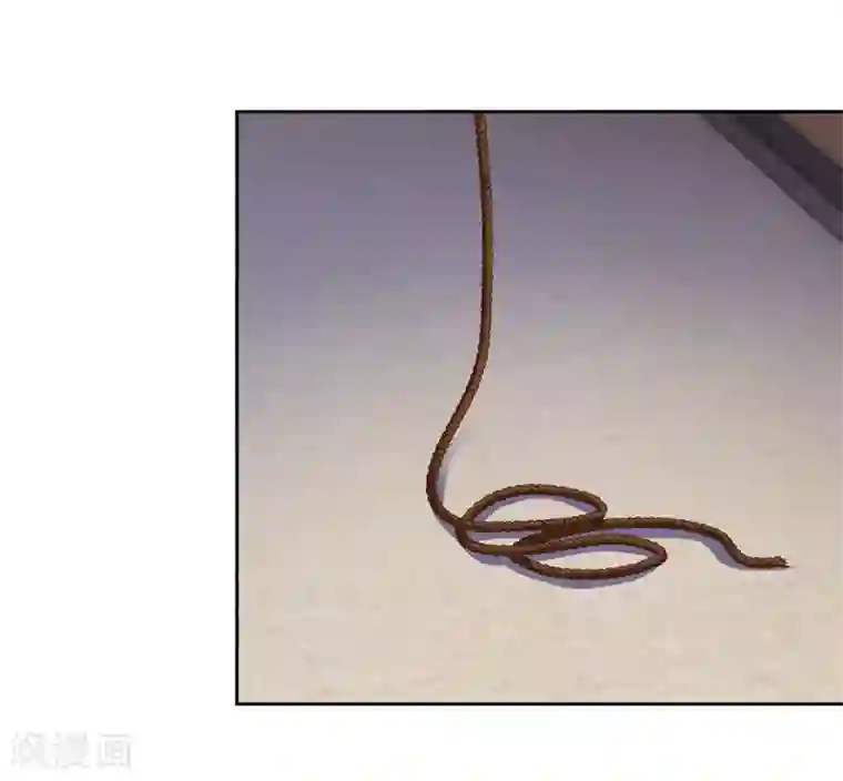 陆少的暖婚新妻第44话