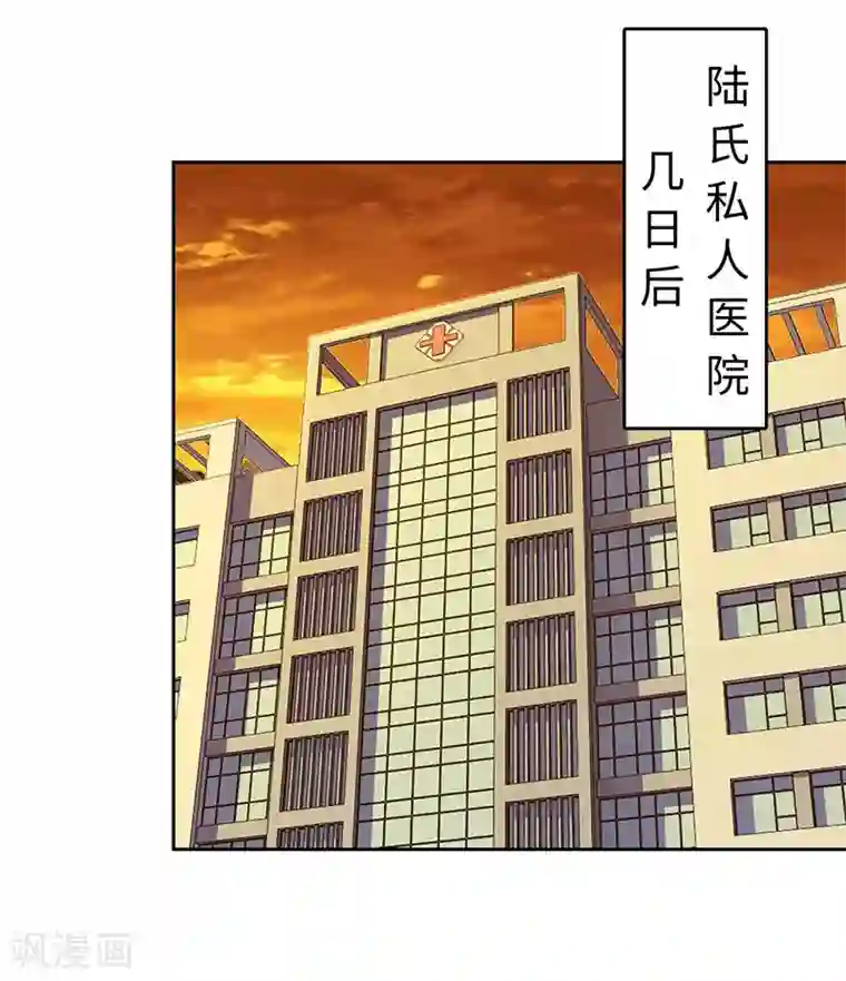 陆少的暖婚新妻第76话