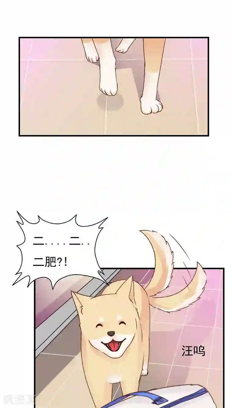 花间云梦第11话